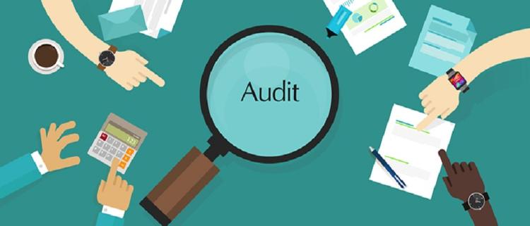 Who Needs an Internal Audit in India?